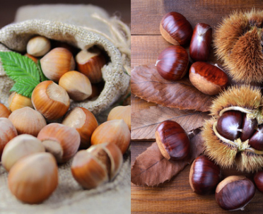 Noci, Noccioli, Mandorli e Castagni