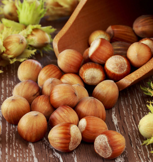 Noccioli